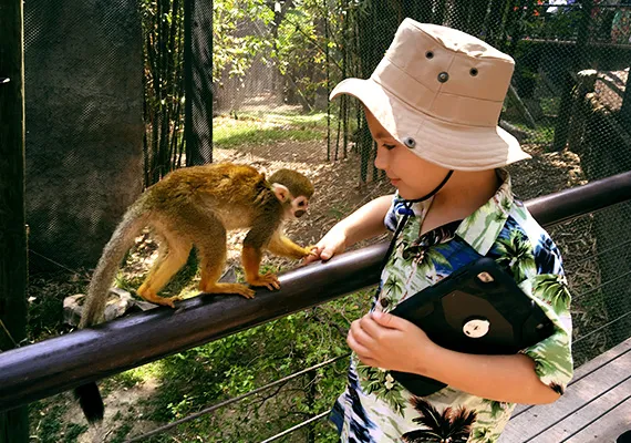 Monkey with Boy